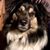 Zee Bud's profile image
