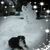Tina Scheve's profile image