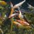 Jay Philip Eriv's profile image