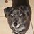 Christine Metze's profile image