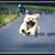 Rini Ro's profile image