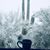Dawn Casey's profile image