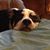 Karen Lasko's profile image