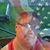 Christina Cain-Flieger's profile image