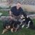 Mike Warren's profile image