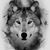 Gin Mat's profile image