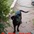 Donna Fortin's profile image