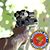 Joe Fisher's profile image