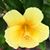 Peggy Gaddis Sligh's profile image