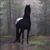 Melanie Meyer's profile image