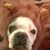 Ashbel De La Cruz's profile image