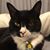Lisa Wladyka's profile image