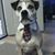 Laura Sawyer Slyk's profile image