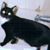Mary Bristow's profile image