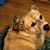 Samantha Basco's profile image