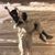 Scott Wiesenmayer's profile image
