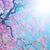 Kimberly Winders Bresnahan's profile image