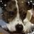 Tracey Polovchena Robbins's profile image