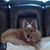Nancy Rice's profile image