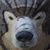 Paul Scharlau's profile image