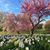 Julia Fowler D'Angelo's profile image