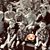 Michele Gloss Martinez's profile image