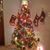 Nellia McClure Philpott's profile image