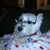 Roberta Ellis's profile image