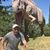 Mark Sebulsky's profile image