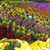 Sandra Taylor's profile image
