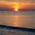 Jennifer Marek's profile image