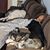 Souli Thong's profile image