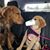 Shontel Caspari's profile image