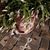 Sara Veliz-Henry's profile image