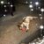 Sara Rathburn-Yourkvitch's profile image