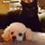 Ann M Cavanaugh's profile image