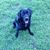 Don Gautier's profile image