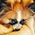 Lulu Clark's profile image