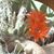 Guadalupe Quintero's profile image