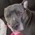 Beau Bomstad's profile image