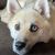 Ashlee Fuegen's profile image