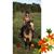 Linda Larson's profile image