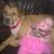 Susan Puckett Martin's profile image