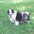 Mary Baughman McCoy's profile image