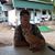 Lenard Waxler's profile image