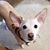Bonnie Anderson's profile image