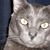 Kellie Kaler's profile image