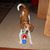 Judy Klingman Swanson's profile image