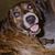Frances Stinson's profile image