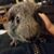 Edward Gattis's profile image